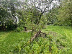 Gelderland tuin Kees Gelderland tuin Kees